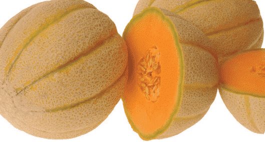 Honeydew Orangeflesh Melon Seeds