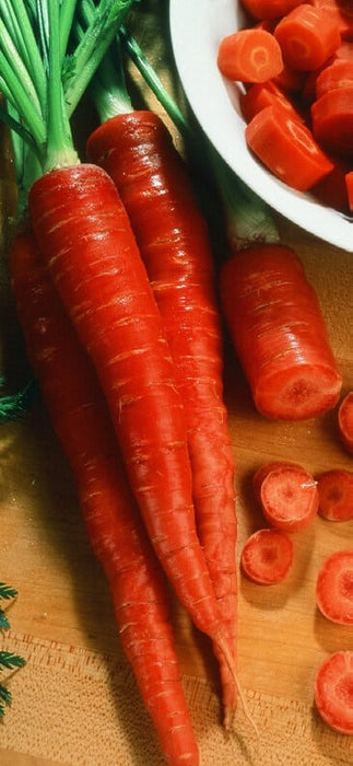 Bulk: Nutri-Red Carrot Seeds