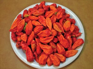 Bhut Jolokia Hot Pepper Seeds