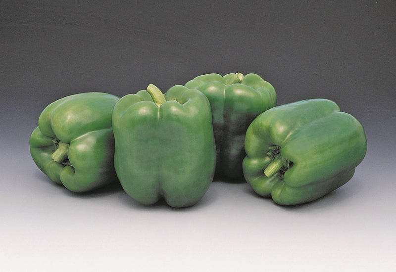 Encore Hybrid Pepper Seeds