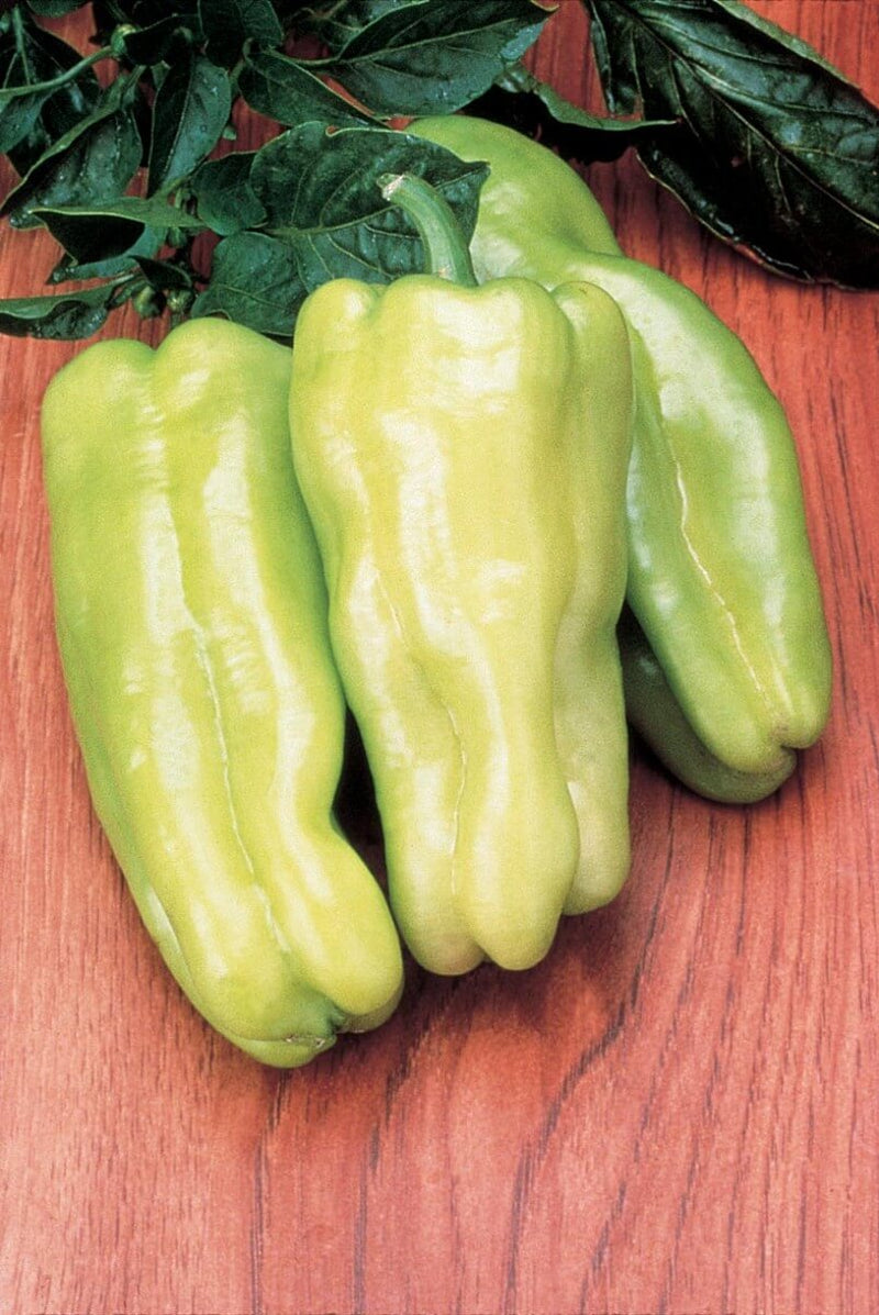 Bulk: Cubanelle Pepper Seeds