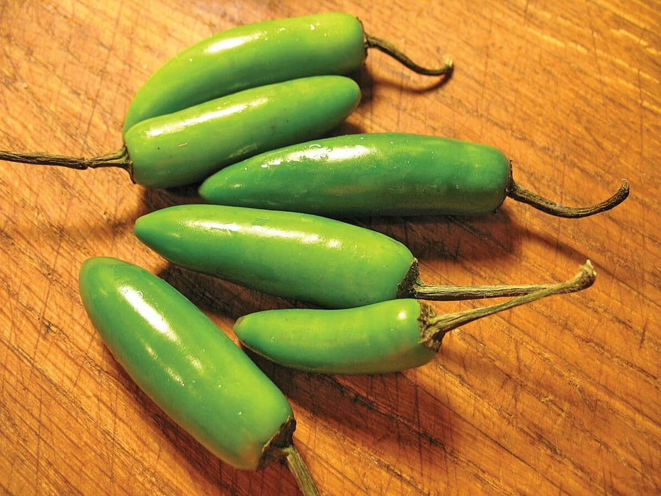 Bulk: Serrano Chili Hot Pepper Seeds
