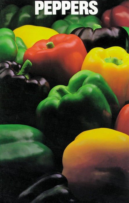 Bulk: Sweet Bell Rainbow Mix Pepper Seeds