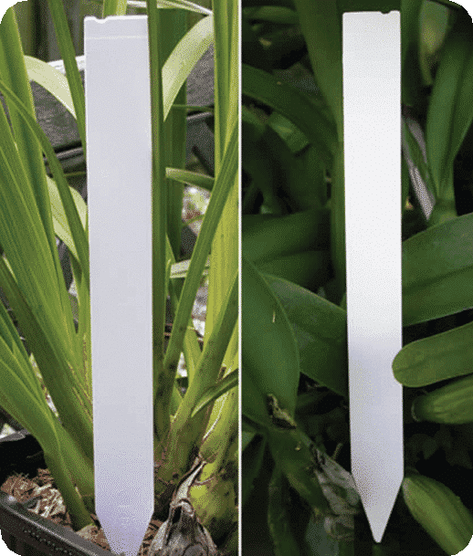 Plant Labels - 4"