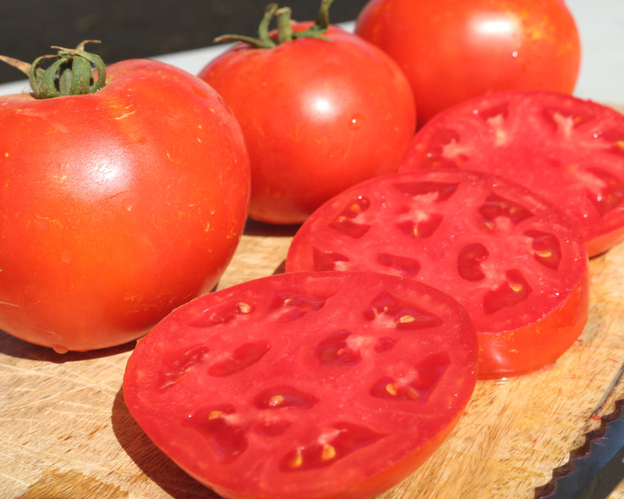 Bulk: Jamestown Hybrid Tomato Seeds
