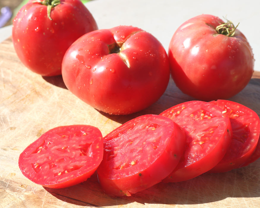 Bulk: Pink Girl Hybrid Tomato Seeds