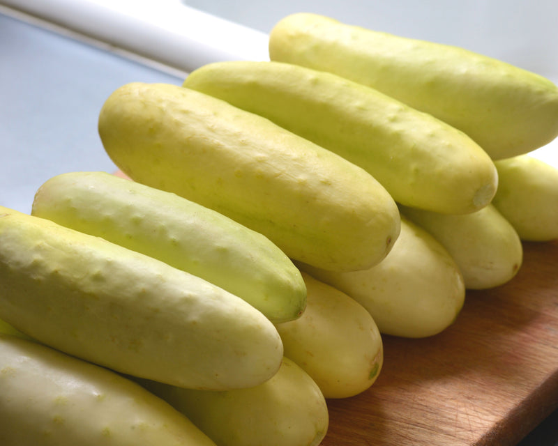 Bulk: Martini Hybrid Cucumber