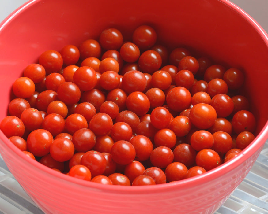 Candyland Red Tomato Seeds
