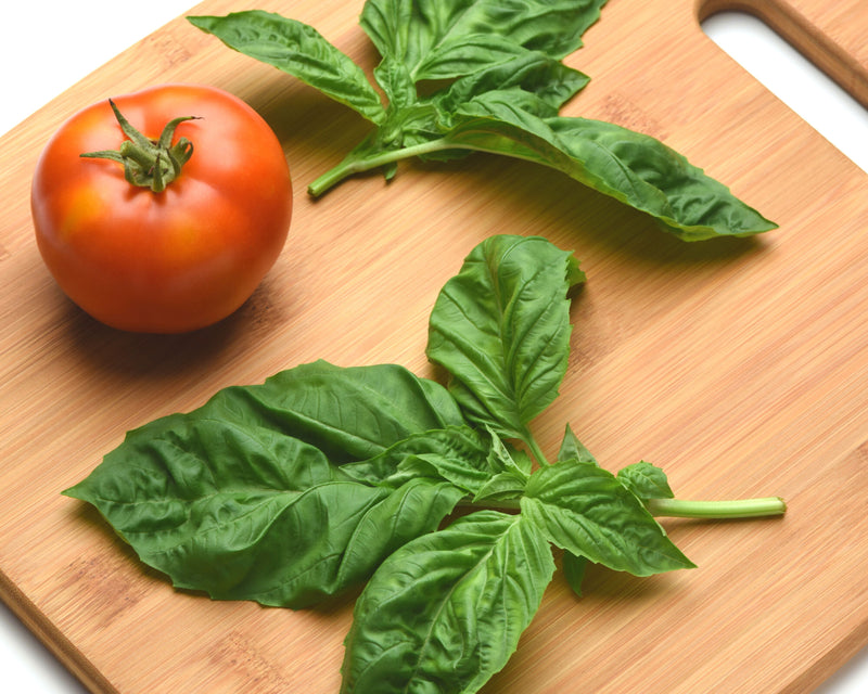 Bulk: Newton Basil Seeds