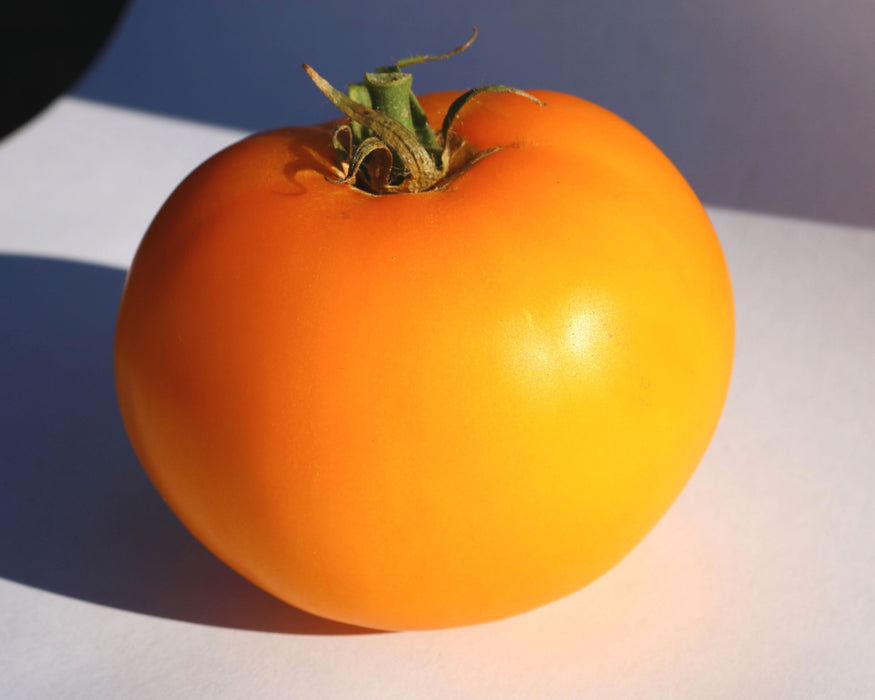Bulk: Lemon Boy Plus Hybrid Tomato Seeds