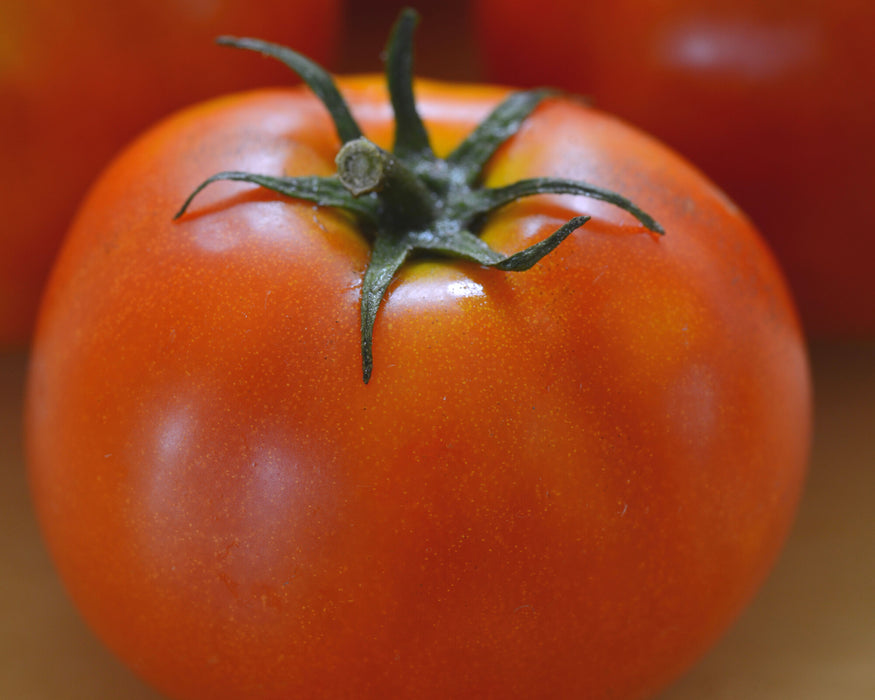 Little Sicily Hybrid Tomato