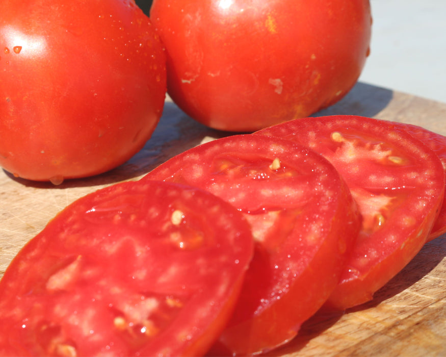 Bulk: Husky Red Hybrid Tomato Seeds