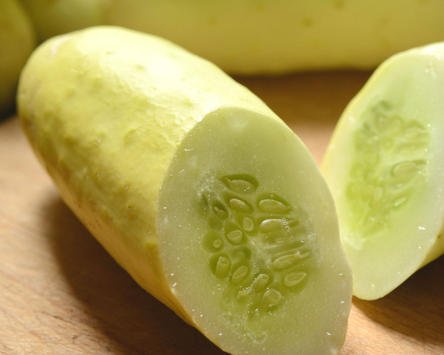 Bulk: Martini Hybrid Cucumber