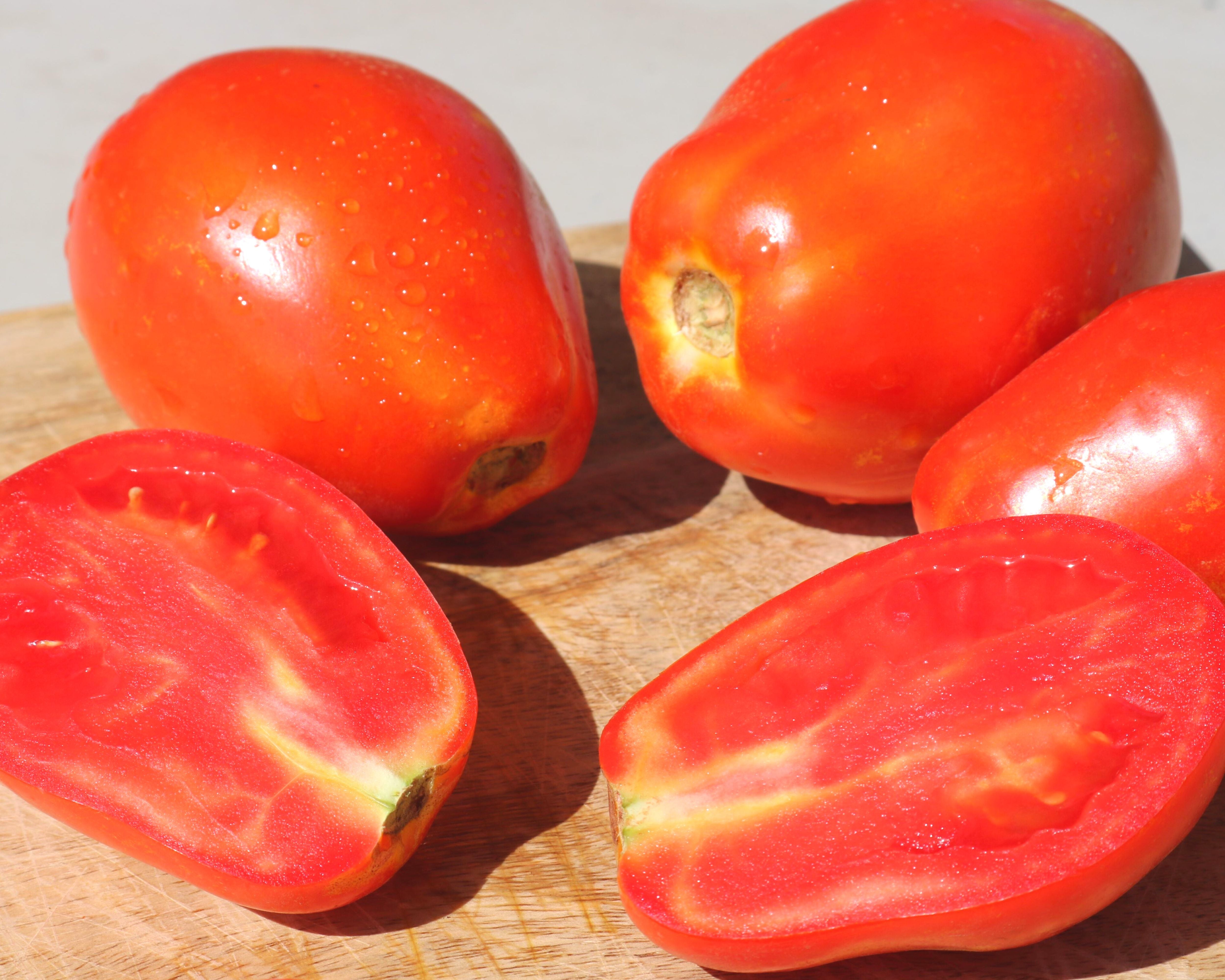 Yaqui Hybrid Tomato Seeds — Seeds 'n Such