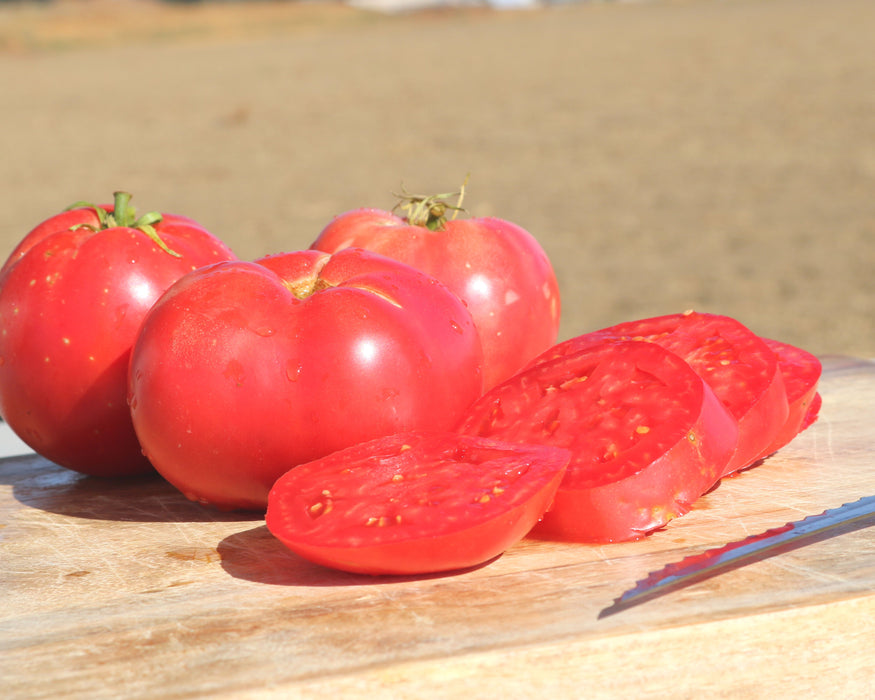 Bulk: Pink Girl Hybrid Tomato Seeds