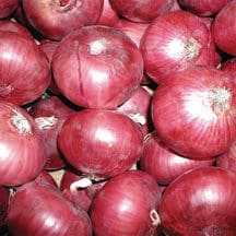 Red Candy Apple Hybrid Onion Plants - Ships Separately at Later Date ...