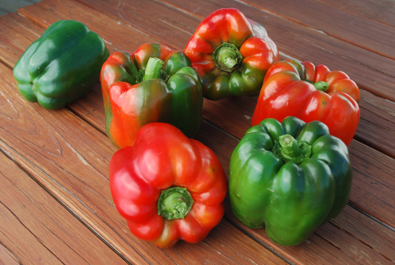 Bulk: Ozark Giant Pepper Seeds