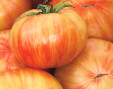 Bulk: Copia Tomato Seeds