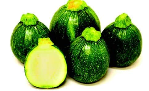 Bulk: Eight Ball Hybrid Zucchini Squash Seeds
