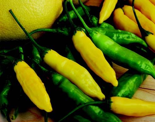 Bulk: Lemon Drop Hot Pepper Seeds