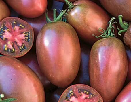 Purple Russian Tomato Seeds
