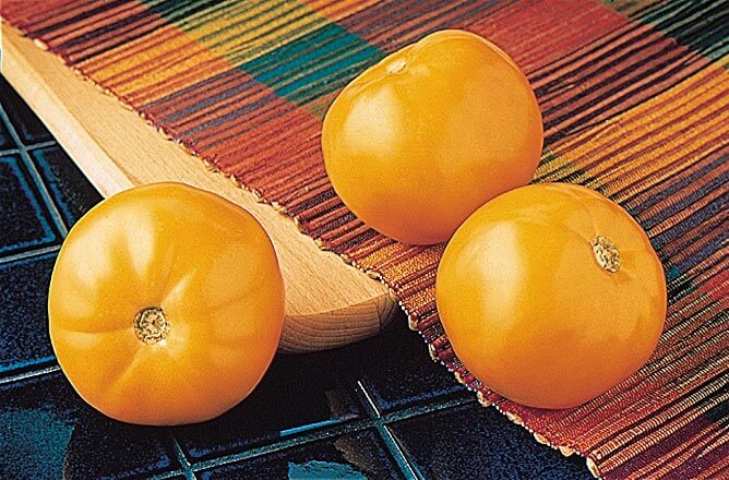 Bulk: Carolina Gold Hybrid Tomato Seeds