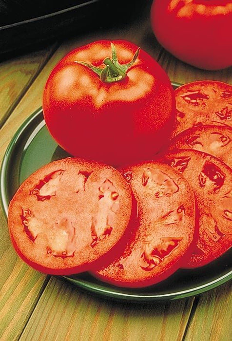 Bulk: Homestead 24 Tomato Seeds