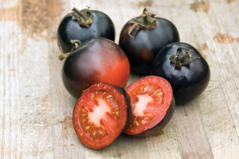 Indigo Rose Tomato Seeds