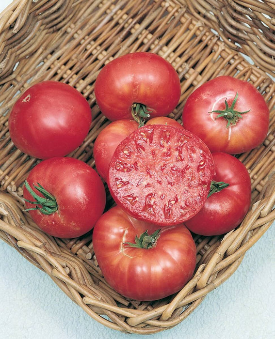 Bulk: Mortgage Lifter Tomato Seeds