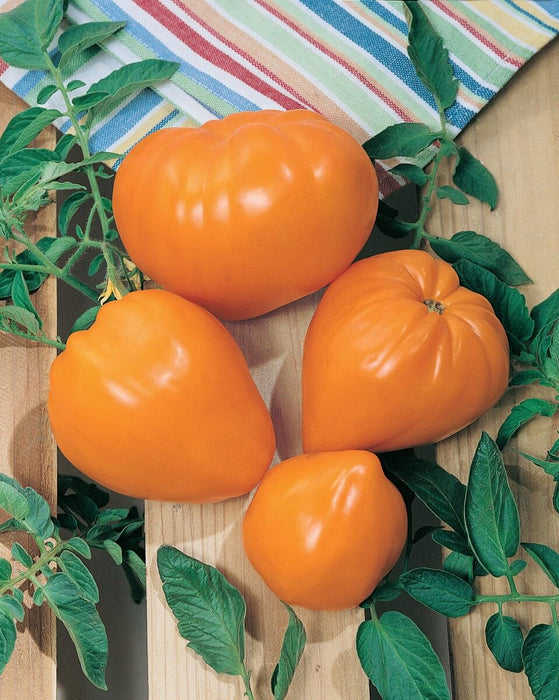 Bulk: Orange Strawberry Tomato Seeds
