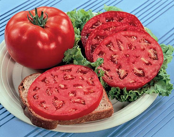 Bulk: Park's Whopper CR Improved Hybrid VFFNT Tomato Seeds