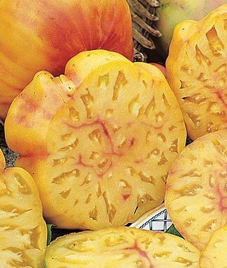 Bulk: Pineapple Tomato Seeds