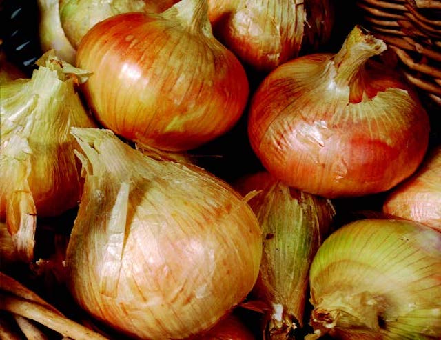 Ailsa Craig Exhibition Onion Seeds