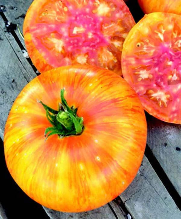 Bulk: Beauty King Tomato