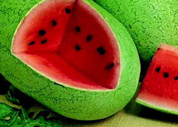Bulk: Charleston Grey Watermelon Seeds