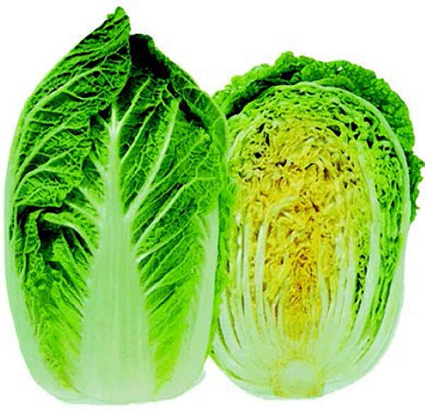 Chinese (Napa) Cabbage (Sui Choy) Seeds