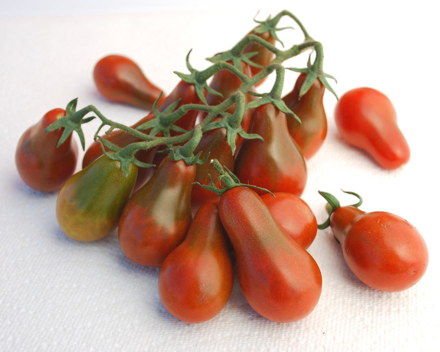 Bulk: Chocolate Pear Tomato Seeds