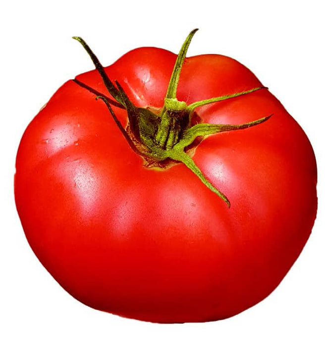 Damsel Hybrid Tomato