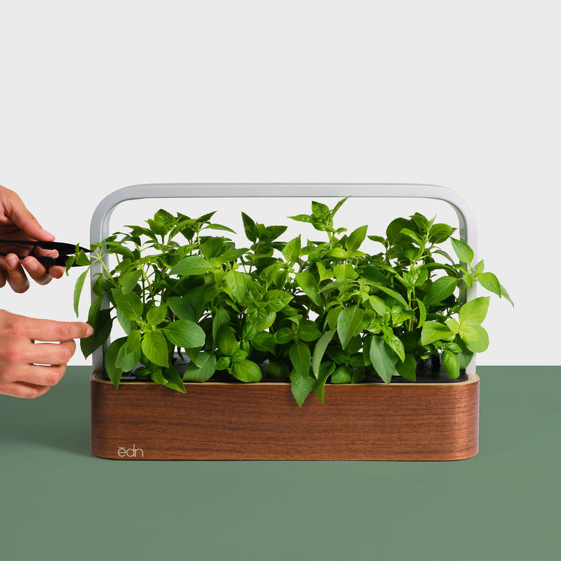 mini garden seeds edn SmallGarden — Seeds 'n Such