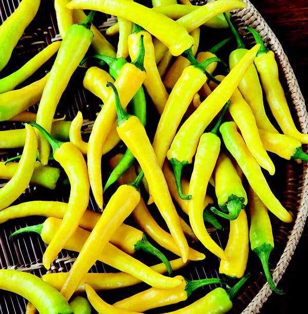 Bulk: Golden Cayenne