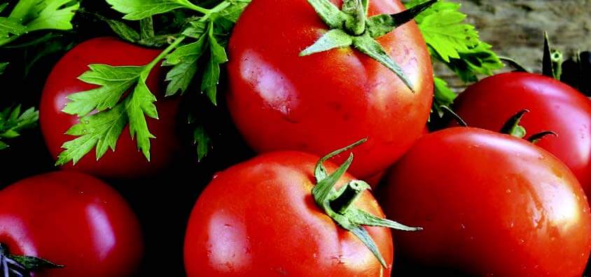 Bulk: Goliath Early Hybrid Tomato Seeds