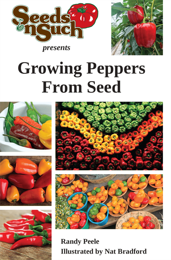 plant peppers from seed Growing Peppers From Seed