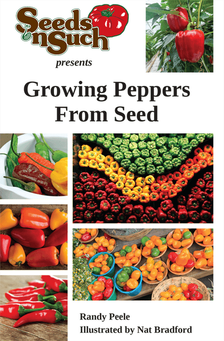 Growing Peppers From Seed - Pepper Growing Guide