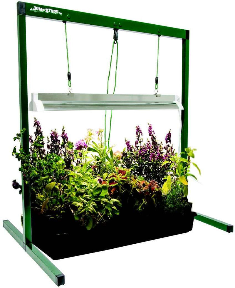 grow light for single plant Tabletop Grow-Light System — Seeds 'n Such