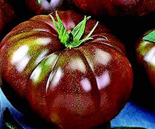 Bulk: Heirloom Black Hybrid Tomato Seeds