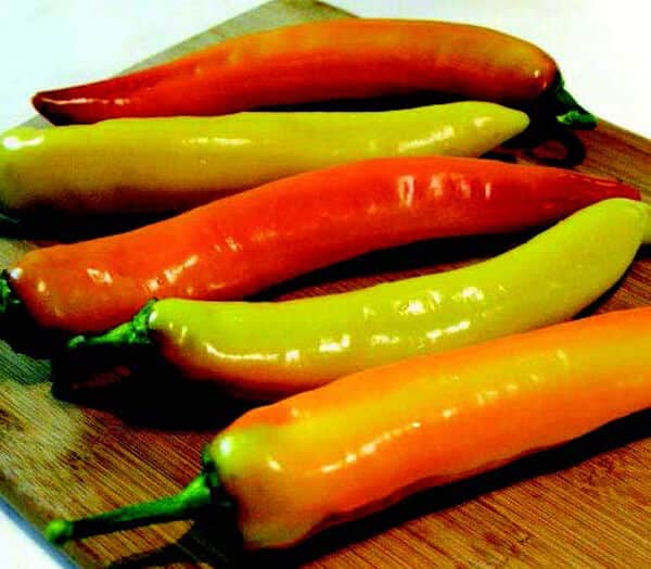 Bulk: Hot Sunset Hybrid Pepper Seeds