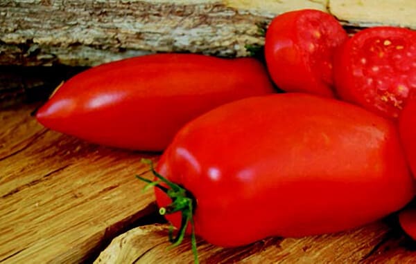 Jersey Devil Tomato Seeds