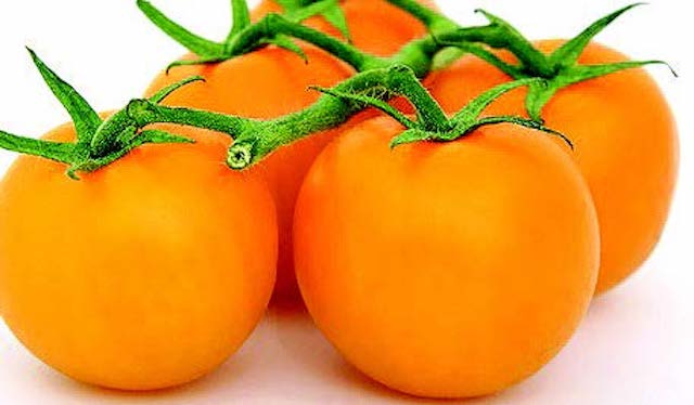 Bulk: Jubilee Tomato Seeds