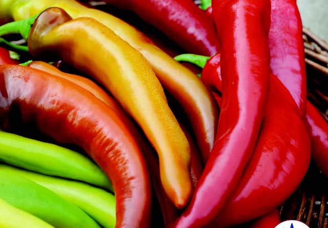 Mexican Sunset Hot Banana Hybrid Pepper Seeds