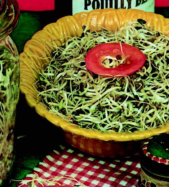 Bulk: Old Mexico Microgreens Mix Seeds